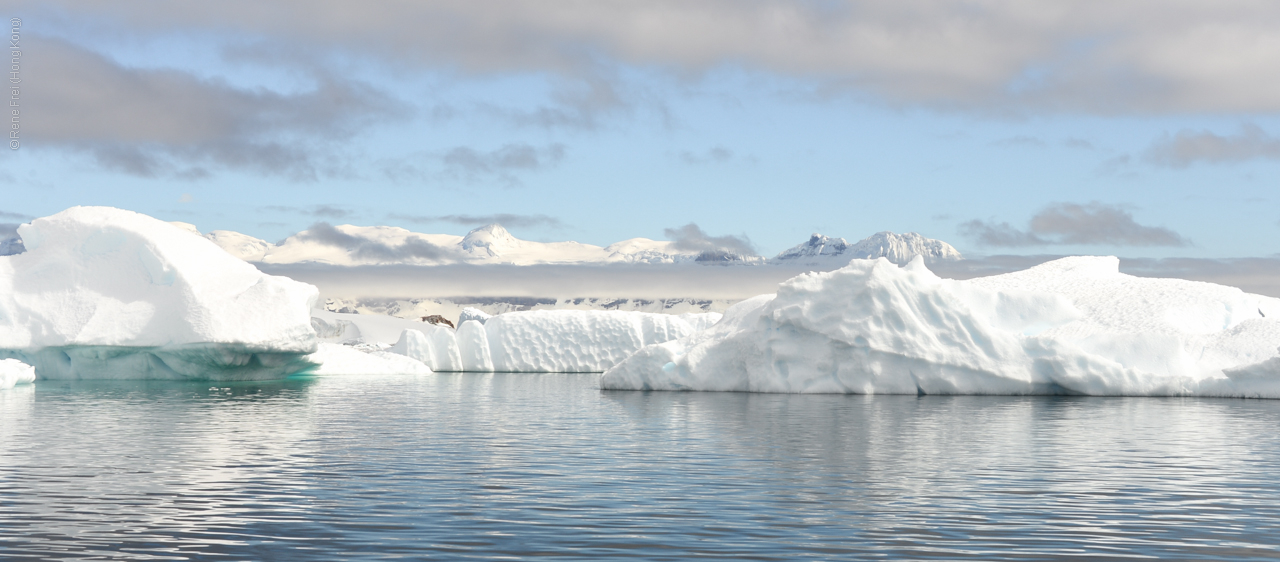 Antarctic Peninsula - 2013