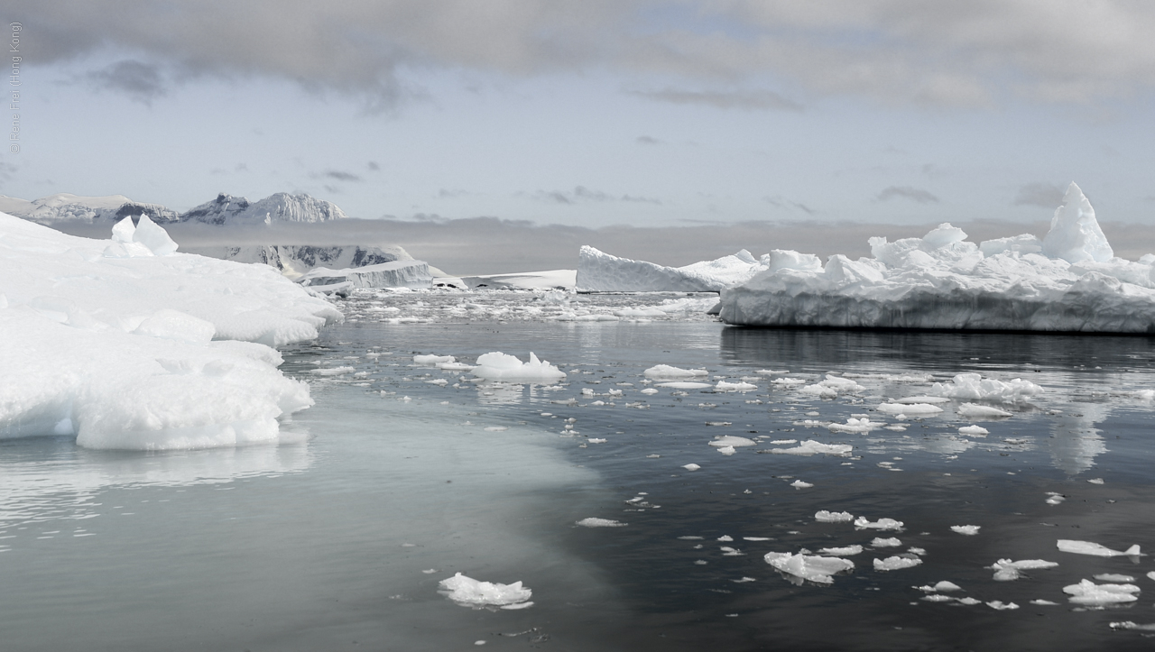 Antarctic Peninsula - 2013