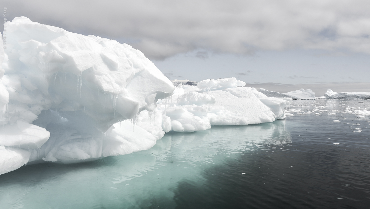 Antarctic Peninsula - 2013