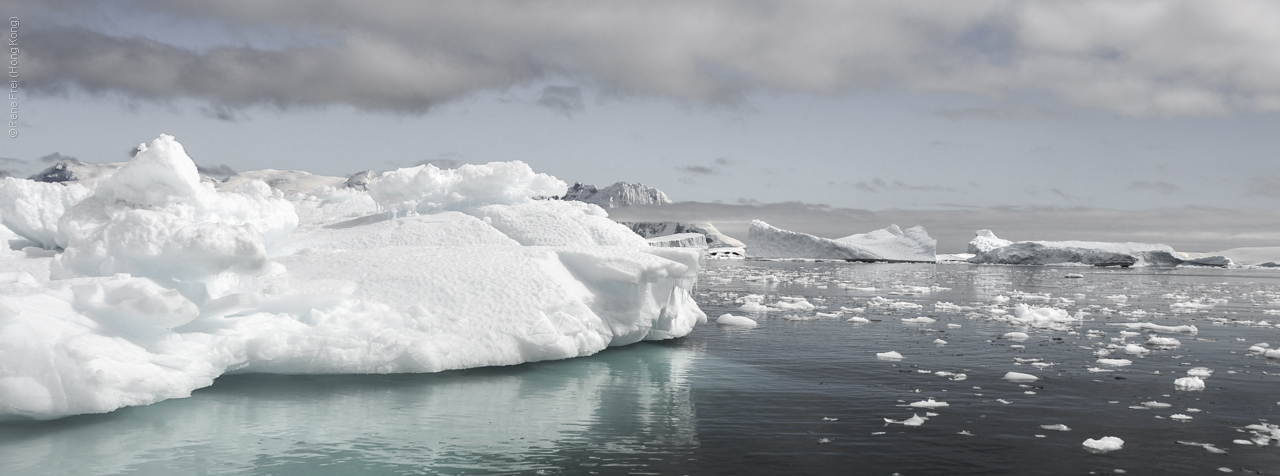 Antarctic Peninsula - 2013
