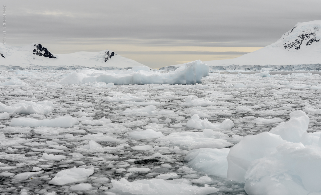 Antarctic Peninsula - 2013