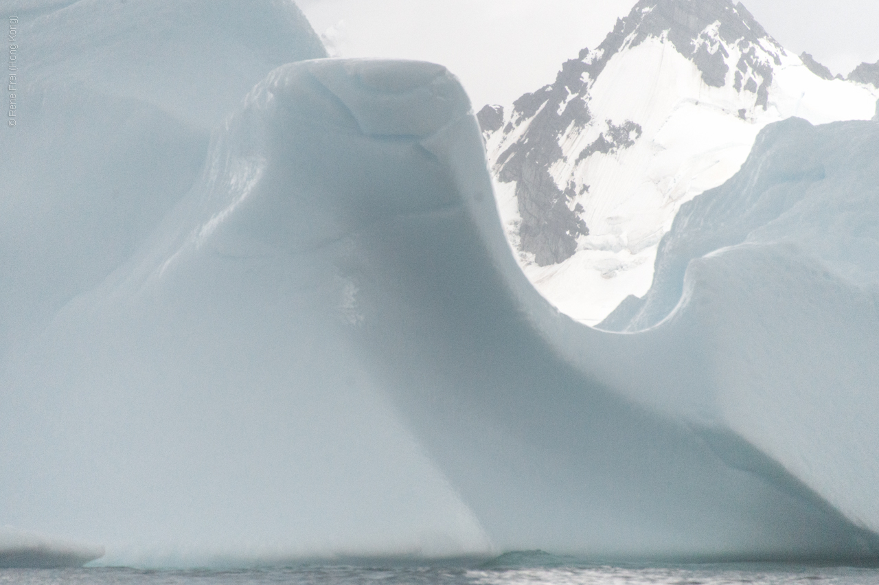 Antarctic Peninsula - 2017
