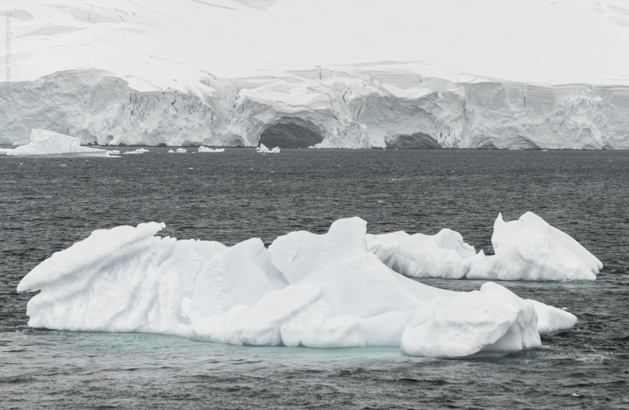 Antarctic Peninsula - 2017
