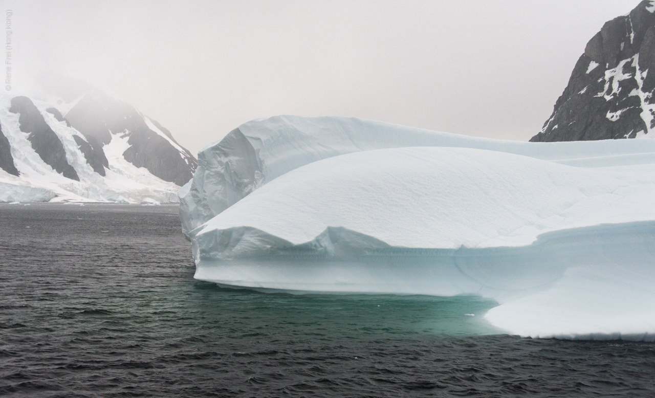 Antarctic Peninsula - 2017