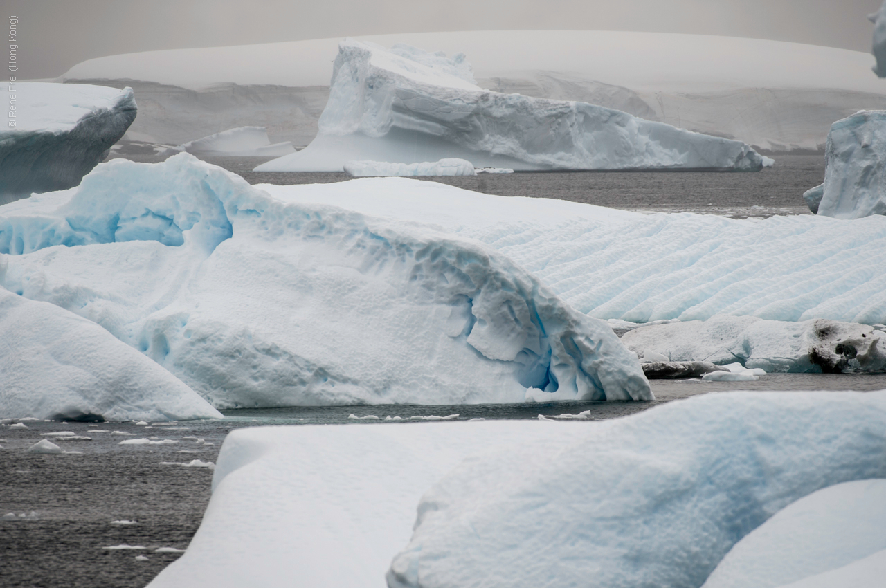 Antarctic Peninsula - 2017