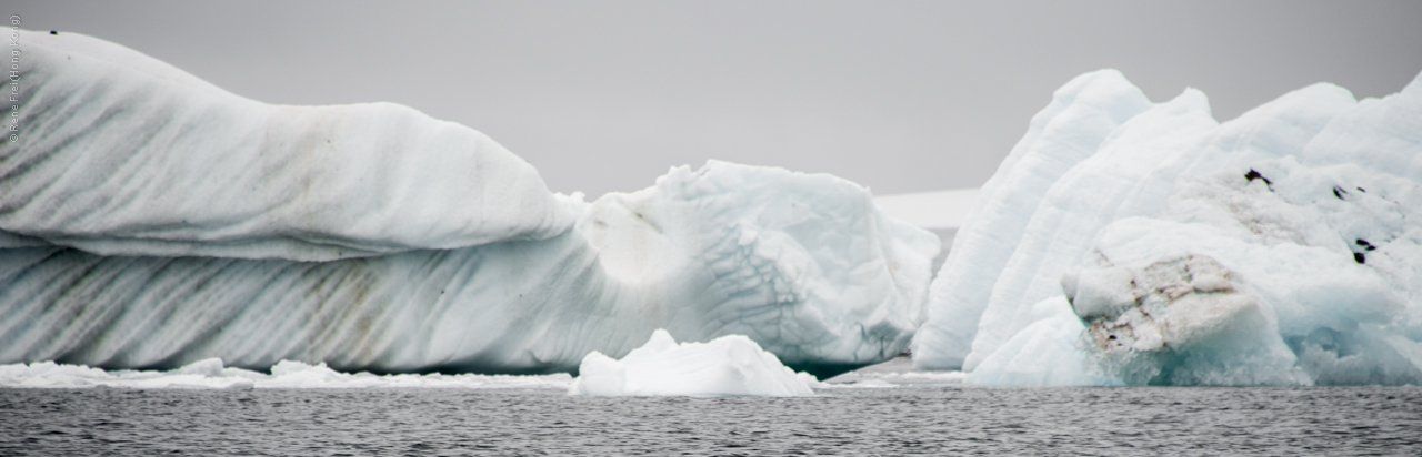Antarctic Peninsula - 2017