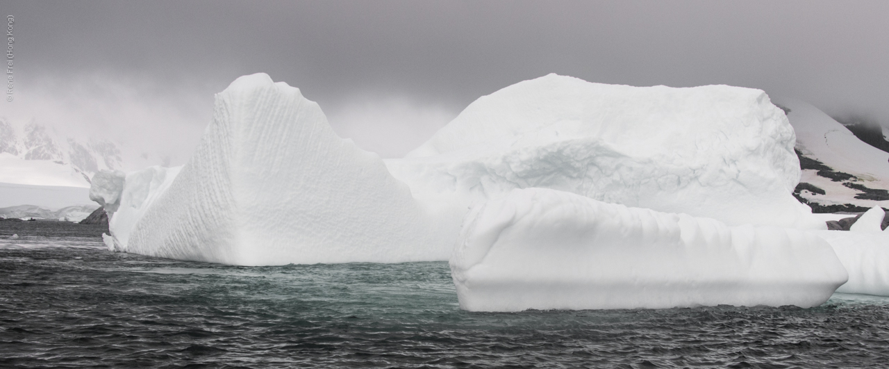 Antarctic Peninsula - 2017
