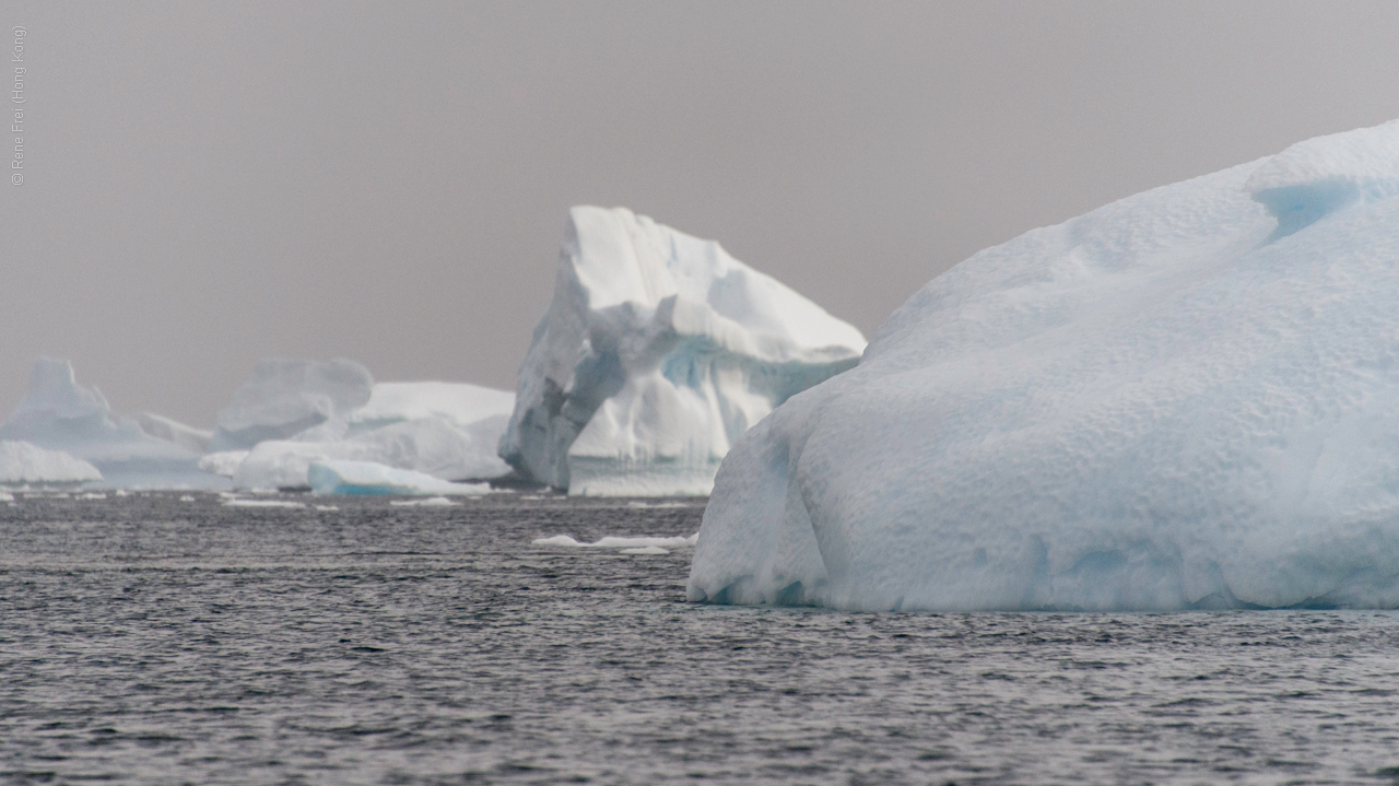 Antarctic Peninsula - 2017