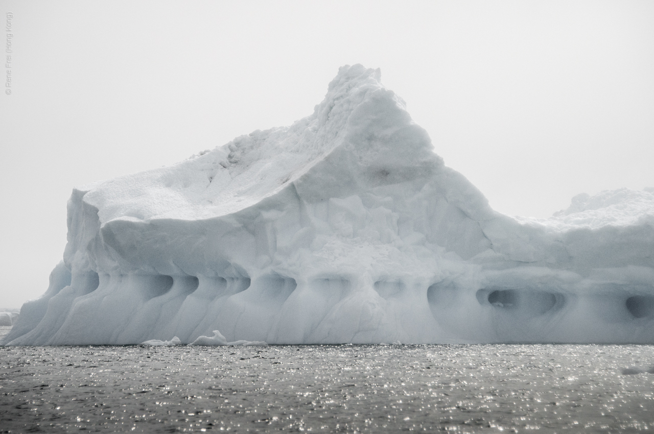 Antarctic Peninsula - 2017