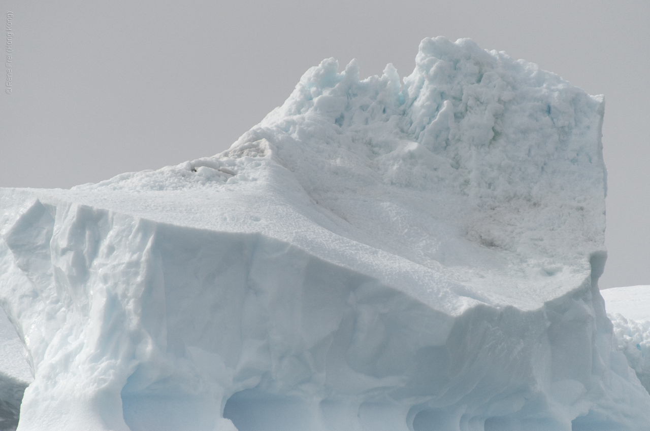 Antarctic Peninsula - 2017