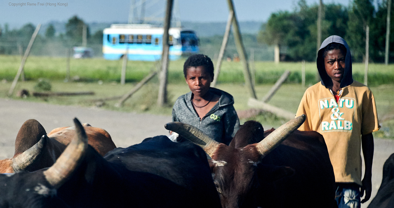 Addis Ababa - Ethiopia - 2019
