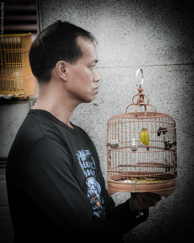 Kowloon - Hong Kong