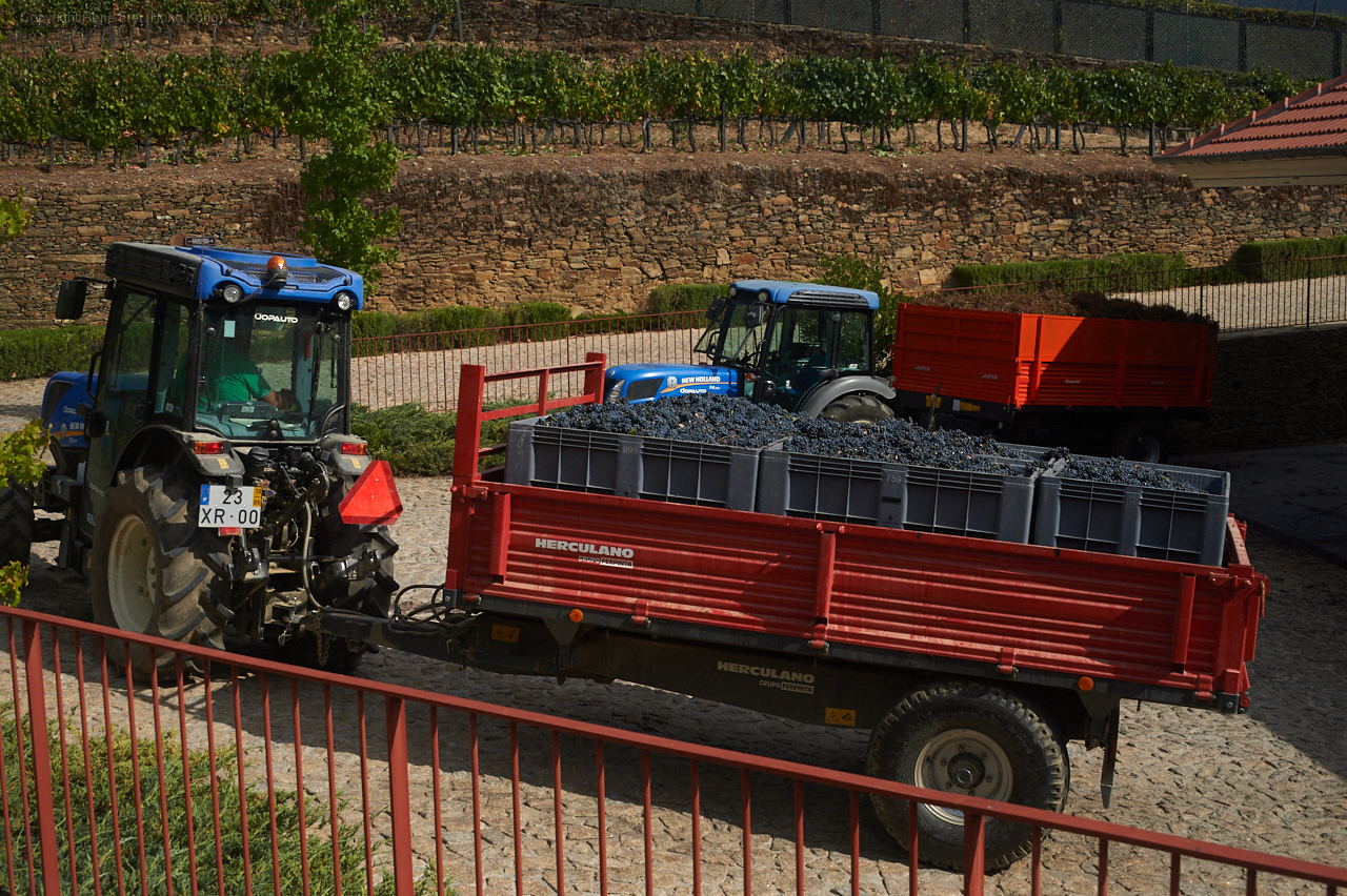 Douro Valley - Portugal - 2019