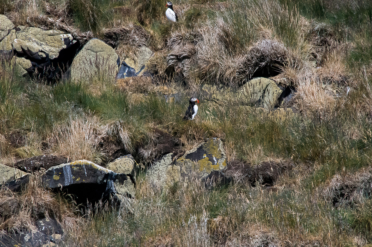 Iceland - 2015