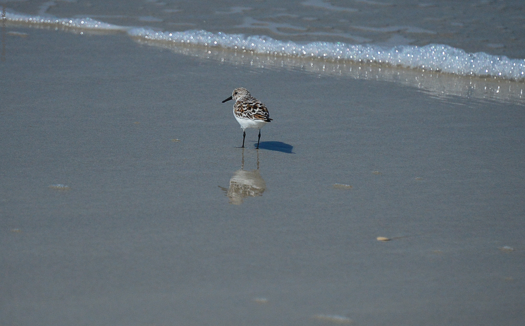 Jacksonville - Florida - USA - 2013