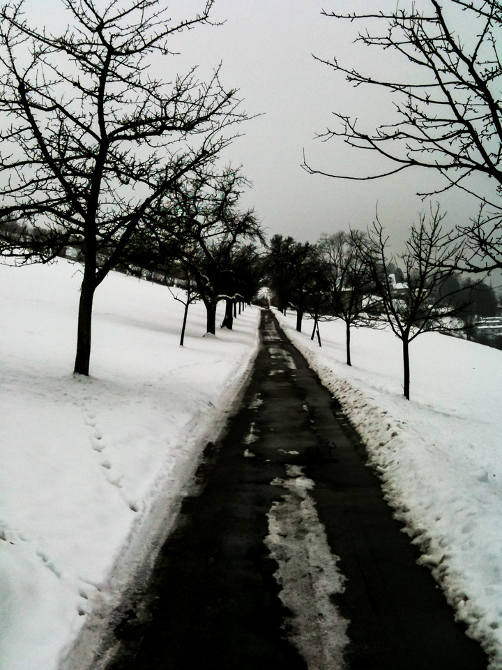 St. Gallen - Switzerland - 2011
